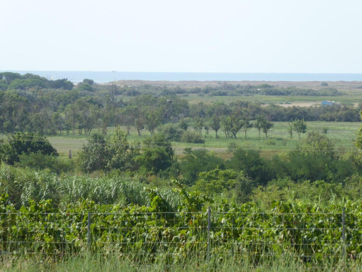 Gite Des Jonquies, Au Calme Vue Sur Le Canal Du Midi Et La Mer ปอร์ทิราญ ภายนอก รูปภาพ